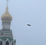 портал - Вологда-поиск