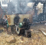 В Карелии вспыхнул пожар у школы - Gubdaily.Ru
