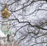 портал - Вологда-поиск