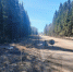 В Сыктывкаре временно перекроют дорогу к Дырносским дачам - KomiOnline.Ru