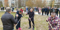 Власти Петербурга приняли участие в озеленении города и высадили более сотни кустов - Spbdnevnik.ru