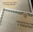 В ЗАГСе Лаишево подвели итоги: какие имена чаще всего звучали на регистрации? - Камская новь