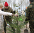 В Красносельском районе в рамках экологической акции привели в порядок «Жемчужный пляж» и высадили деревья - Красносельский район