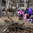 "У природы нет плохой погоды": сыктывкарцы приняли участие во всероссийском субботнике - ИА Комиинформ