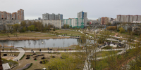 В Купчинском сквере высадили деревья и выпустили в пруд рыб - Петербургский дневник