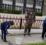Жители Бабаюртовского района приняли участие во Всероссийском субботнике - РИА Дагестан