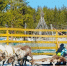 дети в саамской деревне - ИА Nord-News.Ru