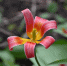 9IWk8mQxZycN6-AbxB_rKmB1KSrCiIUiYExkQzGiCFn_7YQ9X-4s0z7XkGajJpXfa_vtSUaGiJX9SOcPLxWbms8m - Рязанские ведомости