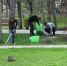 Тысячи деревьев и кустарников украсили город благодаря субботнику в Волгограде - Комсомольская Правда