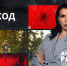 Как подготовить себя и своего питомца к длительной прогулке по лесу - ЛенТВ24