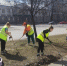 Новосибирцы собрали почти две тысячи тонн мусора на субботнике - Gorsite.Ru