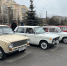 В Петербурге убрали город и оживили память о советских автомобилях - Spbdnevnik.ru