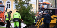 В Пензе к губернаторскому проекту по озеленению территорий присоединилось около 8 тысяч человек - Город Пенза