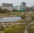 В Петербурге подвели итоги общегородского субботника - Санкт-Петербург.ру