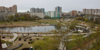 В Петербурге подвели итоги общегородского субботника - Санкт-Петербург.ру