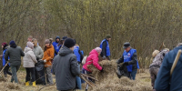 Вологда присоединилась к всероссийской акции чистоты: горожане привели в порядок парк «Евковка» - OnlineVologda.Ru