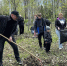 Жители Волжского навели чистоту и порядок в городе в ходе Всероссийского субботника - Администрация г. Волжский