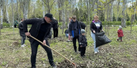 Жители Волжского навели чистоту и порядок в городе в ходе Всероссийского субботника - Администрация г. Волжский