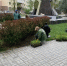 photo_2026-04-25_13-30-10 - Сетевое издание Арбуз