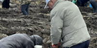 В Ардатовском районе высадили «Сад Памяти» в честь 81-й годовщины Победы в Великой Отечественной войне - Единая Россия