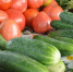 Огурцы и помидоры ИА ЕАОMedia - ChitaMedia