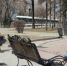 28 тысяч пар перчаток: Иркутск расчищали от мусора в общегородской субботник - IrkutskMedia.Ru