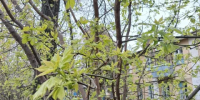 В Калужской области ожидается дождливая погода - Калужский перекрёсток