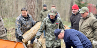Смоленская область присоединилась к всероссийскому весеннему субботнику - Смоленская газета
