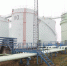 Нефть развитию не мешает | Источник: Сергей Михайличенко / FONTANKA.RU - 161.Ru
