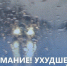 Ночью и утром 27.04.26 на большей части территории области ожидаются дожди. - Колпашевский район