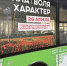 В Курске подготовили брендированные автобусы к годовщине освобождения области - РИА Курск