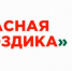 В Липецкой области стартовала всероссийская благотворительная акция «Красная гвоздика» - LipetskNews.Ru