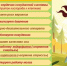 Прогулка - это важно - Роспотребнадзор