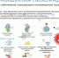 Мышиная лихорадка.jpg - Газета Перекресток России