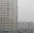 Мокрый снег повалил в Петербурге - Moika78.Ru