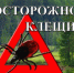Внимание клещи!!! - МЧС