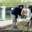 В Самаре усилят контроль за порядком у медучреждений после субботника - ГТРК Самара
