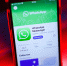Приложение WhatsApp на смартфоне - ИА Общественная служба новостей
