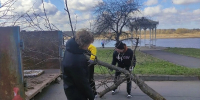 субботник волжский - Рыбинские Известия