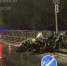 В Калининграде «Хонда» таранила дерево - Комсомольская правда