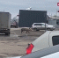 Видео: свинью заметили на парковке в Южном городе в Самаре - Самарская Газета