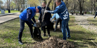 В Челябинске прошёл марафон чистоты - Pchela.News