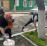 img - ЛДПР