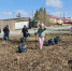 Заринск принял участие во Всероссийском субботнике. - Городской округ Заринск