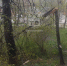 Десять деревьев попадали на землю из-за непогоды в Воронеже - Bloknot-Voronezh.Ru