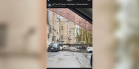 На Юго-Западе Петербурга ветер «положил» огромное дерево на автомобили - Neva.Today