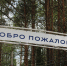 Вологодская область подготовит к лету 427 детских лагерей для более чем 41 тысячи школьников - ProGorod35.Ru