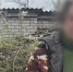 Волгоградская правда - Газета Волгоградская правда