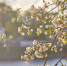 Фото: ПАИ - InformPskov.Ru