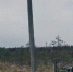 Энергетики ремонтируют ЛЭП после непогоды в Псковской области - Pln-Pskov.Ru